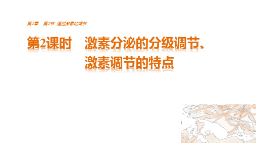 人教版高中生物必修三 2.2.2 激素分泌的分级调节、激素调节的特点 名师公开课市级获奖课件(27张)