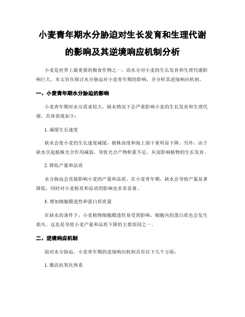 小麦青年期水分胁迫对生长发育和生理代谢的影响及其逆境响应机制分析