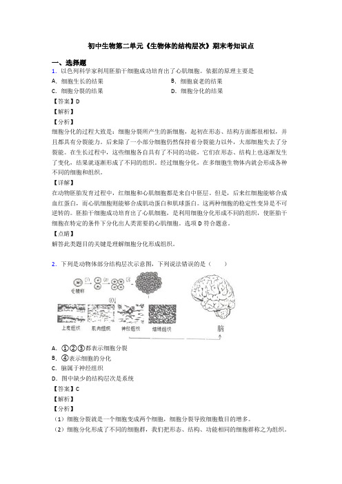 初中生物第二单元《生物体的结构层次》期末考知识点