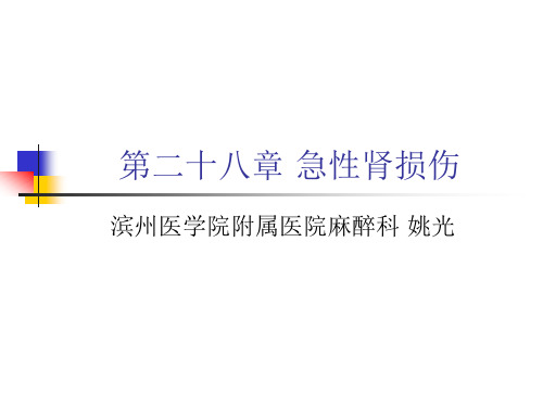 第二十八章术后肾功能损害