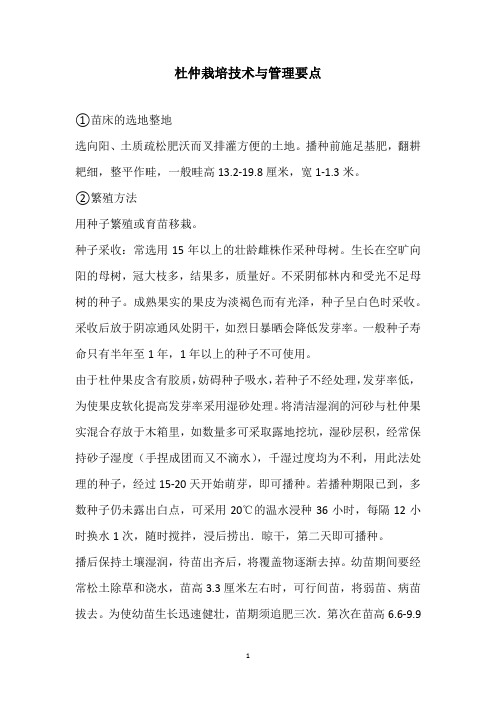 杜仲栽培技术与管理要点