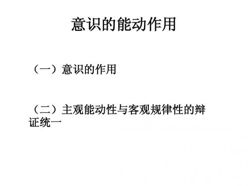 意识的能动作用
