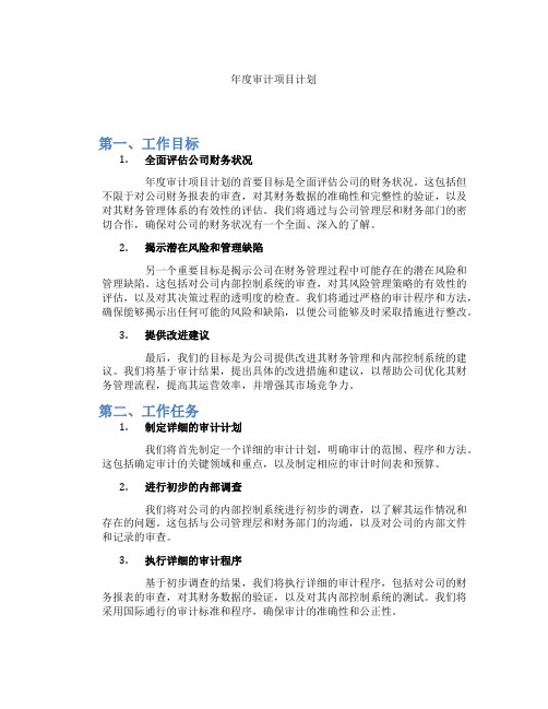 年度审计项目计划