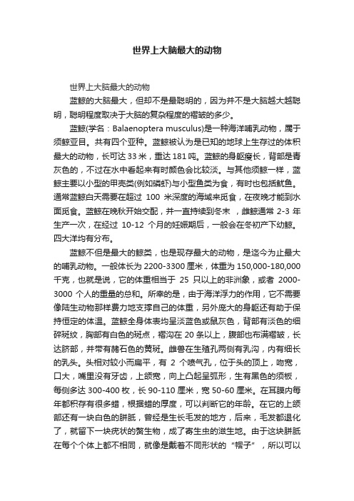 世界上大脑最大的动物