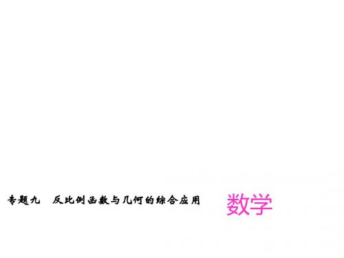中考精英总复习中考数学(四川版)(课件)专题九 反比例函数与几何的综合应用