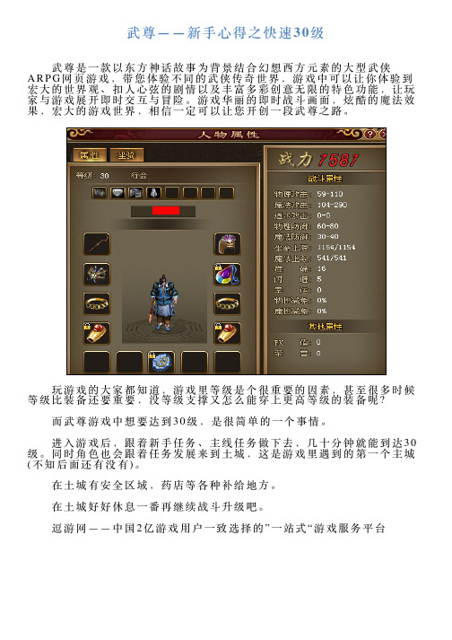 武尊——新手心得之快速30级