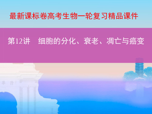 最新课标卷高考生物一轮复习精品课件：细胞的分化、衰老、凋亡与癌变