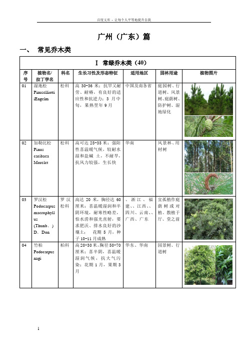 广州广东常见园林植物习性与园林用途40p