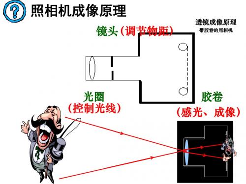 透镜和视觉ppt