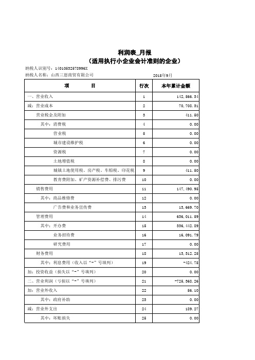 利润表(适用小规模纳税人)