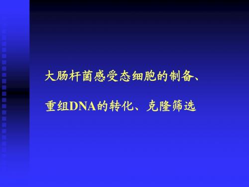 大肠杆菌感受态细胞的制备、