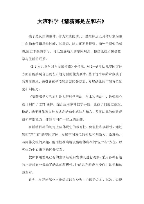 大班科学《猜猜哪是左和右》