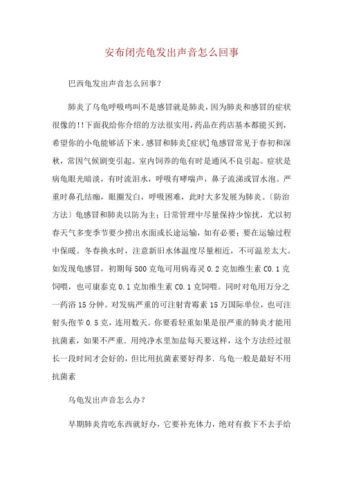 安布闭壳龟发出声音怎么回事