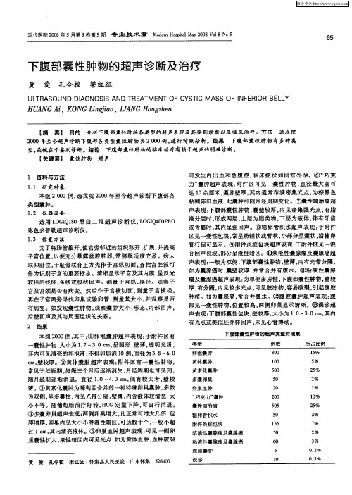 下腹部囊性肿物的超声诊断及治疗