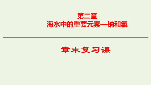 高中化学第二章海水中的重要元素__钠和氯复习课课件人教版必修一.pptx