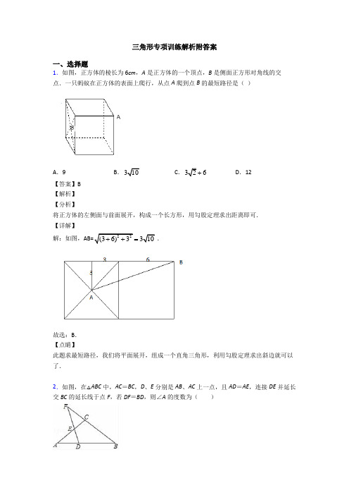 三角形专项训练解析附答案