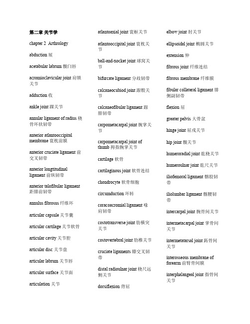 运动系统英文词汇——关节