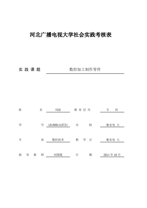 电大_社会实践考核表