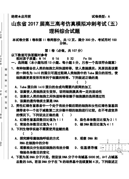 2017届山东省高三高考仿真模拟冲刺考试(五)理科综合试题及答案