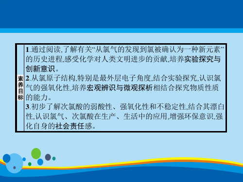 氯气的性质氯及其化合物PPT课件