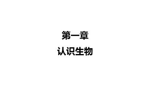 2020中考生物一轮复习课件  ：第一章 认识生物