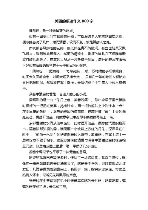 美丽的痕迹作文800字