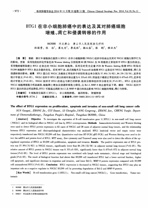 BTG1在非小细胞肺癌中的表达及其对肺癌细胞增殖、凋亡和侵袭转移的作用