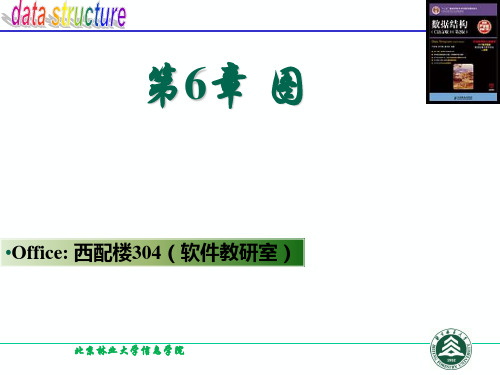 北京林业大学《数据结构与算法》课件PPT 第6章 图