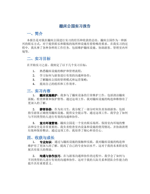 蹦床公园实习报告