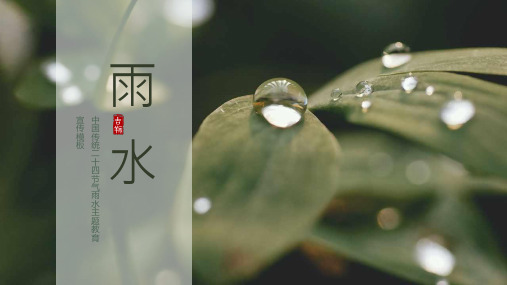 传统节气雨水介绍习俗培训课件PPT