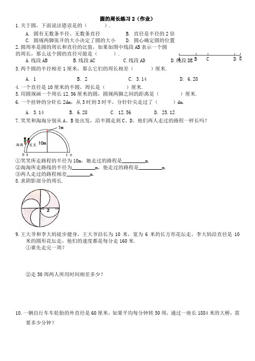 圆的周长练习2(作业)