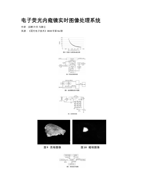 电子荧光内窥镜实时图像处理系统