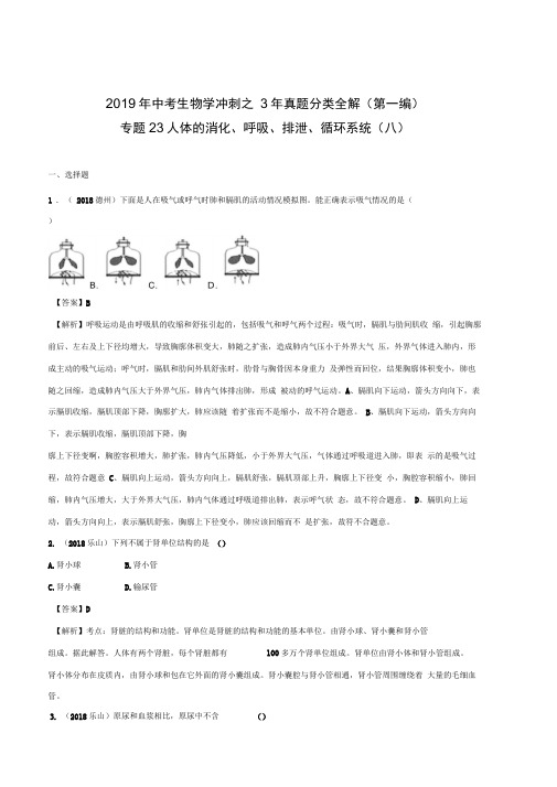 专题24人体的消化、呼吸、排泄、循环系统(八)(解析版)