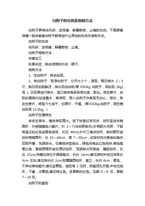 白附子的功效及炮制方法