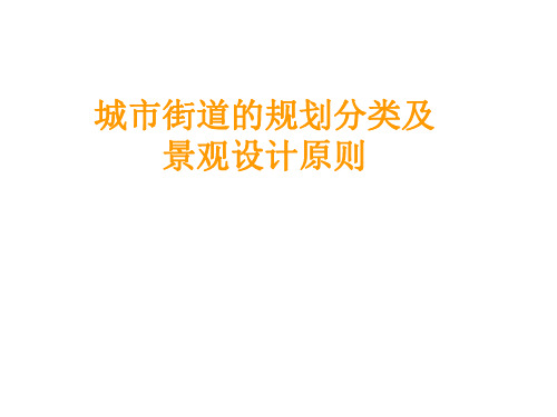 城市街道的规划分类及景观设计原则学习资料