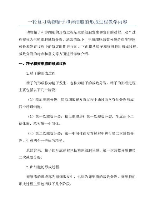 一轮复习动物精子和卵细胞的形成过程教学内容