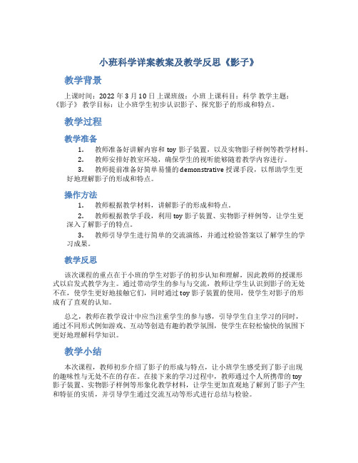 小班科学详案教案及教学反思《影子》