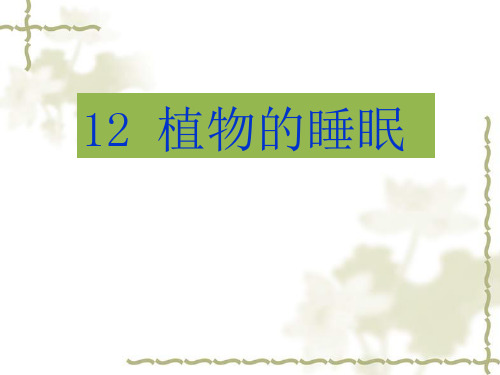 新版一年级下册《植物的睡眠----》课件-精品文档19页