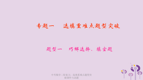 中考数学二轮复习专题一选填重难点题型突破题型一巧解选择填空题课件