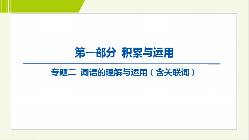 2024年中考语文总复习第一部分积累与运用专题二词语的理解与运用(含关联词)