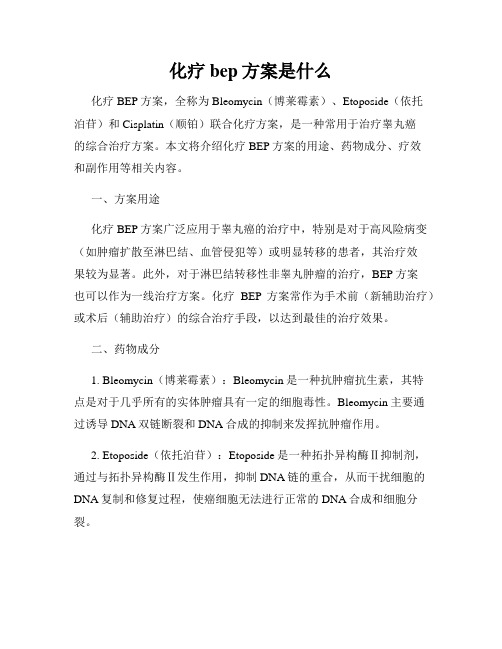 化疗bep方案是什么