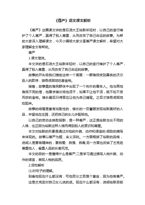 《尊严》语文课文解析