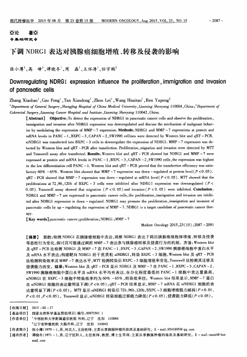 下调NDRG1表达对胰腺癌细胞增殖、转移及侵袭的影响