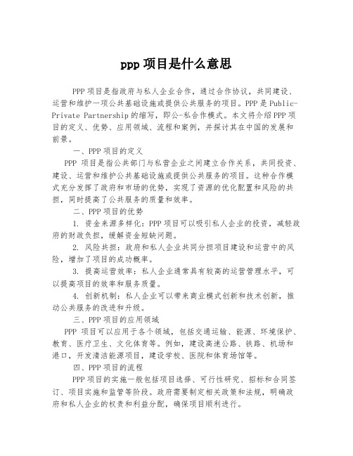 ppp项目是什么意思