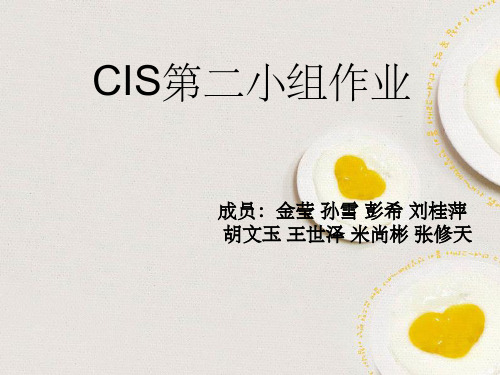 《cis第二小组作业》PPT课件