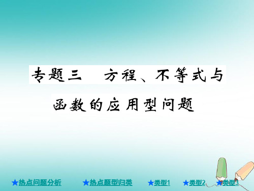 2018年中考数学总复习第二部分重点专题提升专题三方程不等式与函数的应用型问题课件