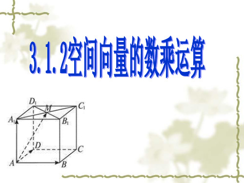 人教版高中数学选修2-1 3.1.2空间向量的数乘运算教学课件 (共29张PPT)