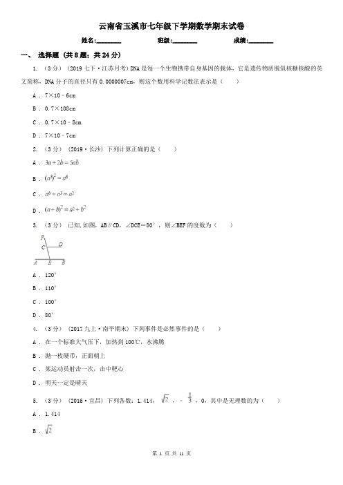 云南省玉溪市七年级下学期数学期末试卷