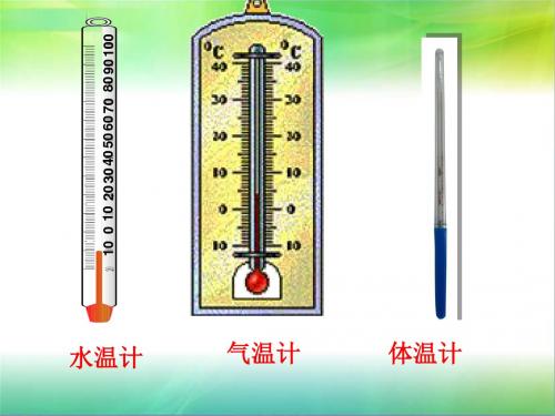 测量水的温度(课件)