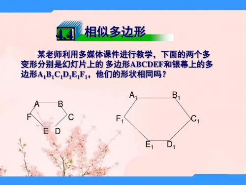 八年级数学下4.4相似多边形课件北师大版